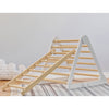 The Climbing Ladder is attached to the Learn N Climb Triangle.